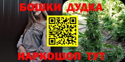 прущие грибы Нальчик