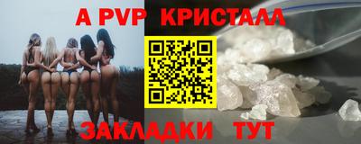 таблы Новозыбков